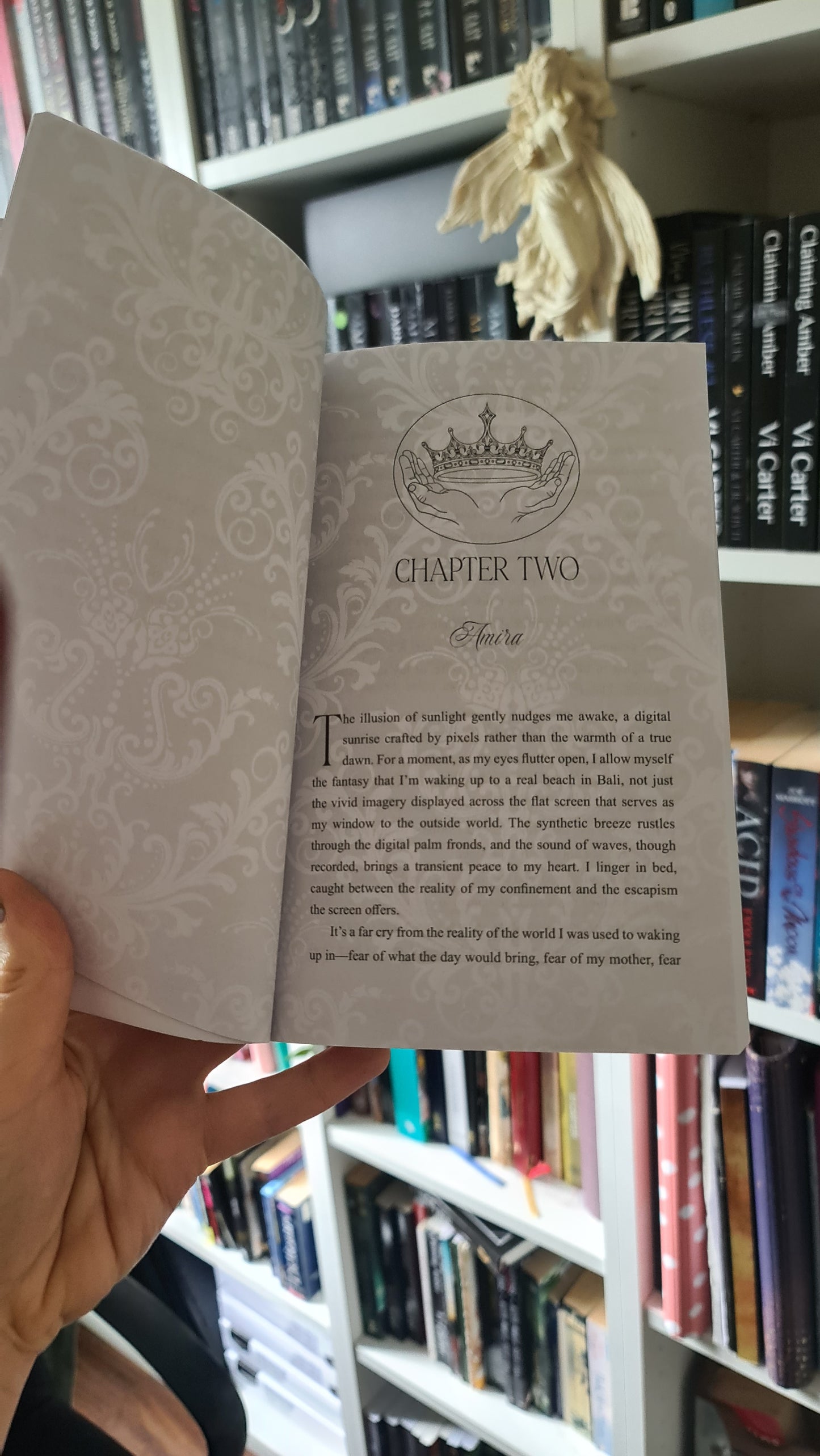 Arranged Marriage Book Bundle
