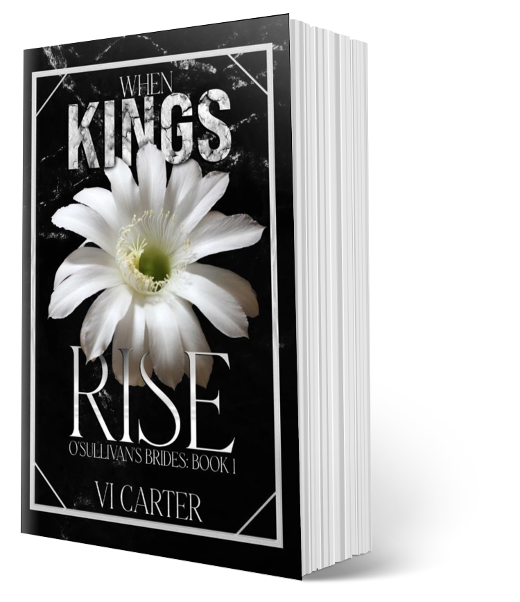When Kings Rise (DISCREET COVER)