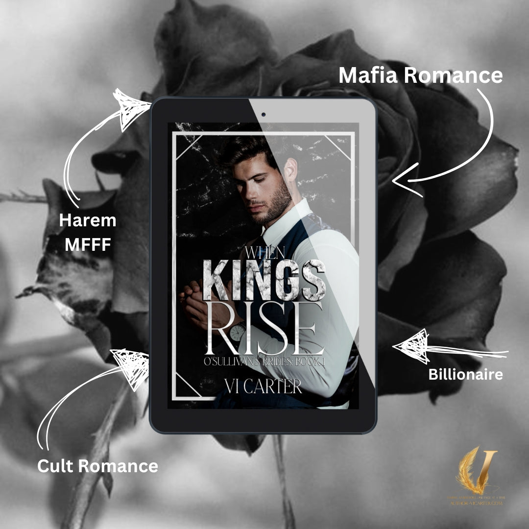 When Kings Rise (DISCREET COVER)