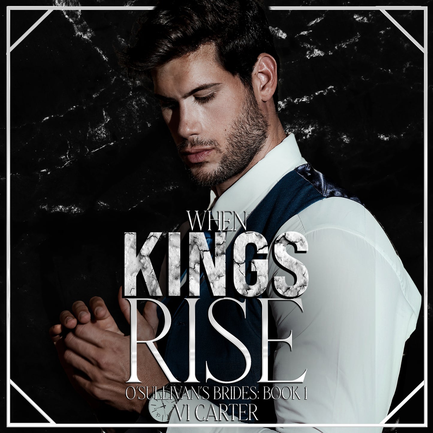 When Kings Rise (Audible) – Author Vi Carter