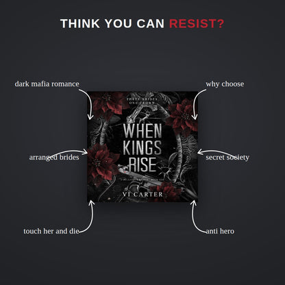 Tropes in When Kings Rise — dark mafia romance, why choose, arranged brides, secret society, touch her and die, anti hero