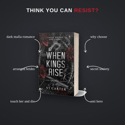 Tropes in When Kings Rise — dark mafia romance, why choose, arranged brides, secret society, touch her and die, anti hero
